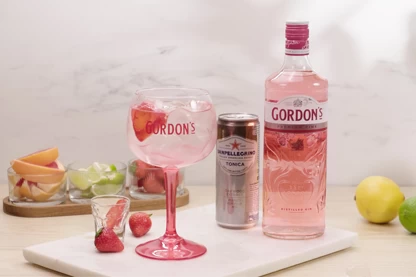 Gordon's Pink & Tonic